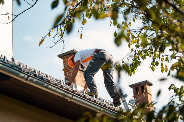 Roof Waterproofing Services in Pittsboro, NC