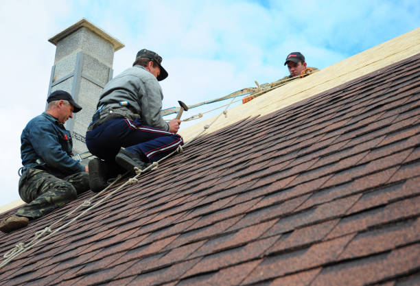 Quick and Trustworthy Emergency Roof Repair Services in Pittsboro, NC